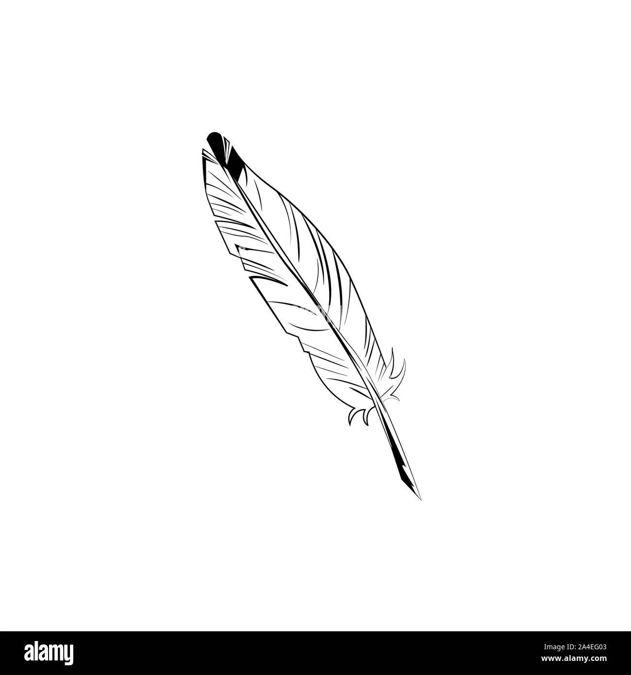 White large feather