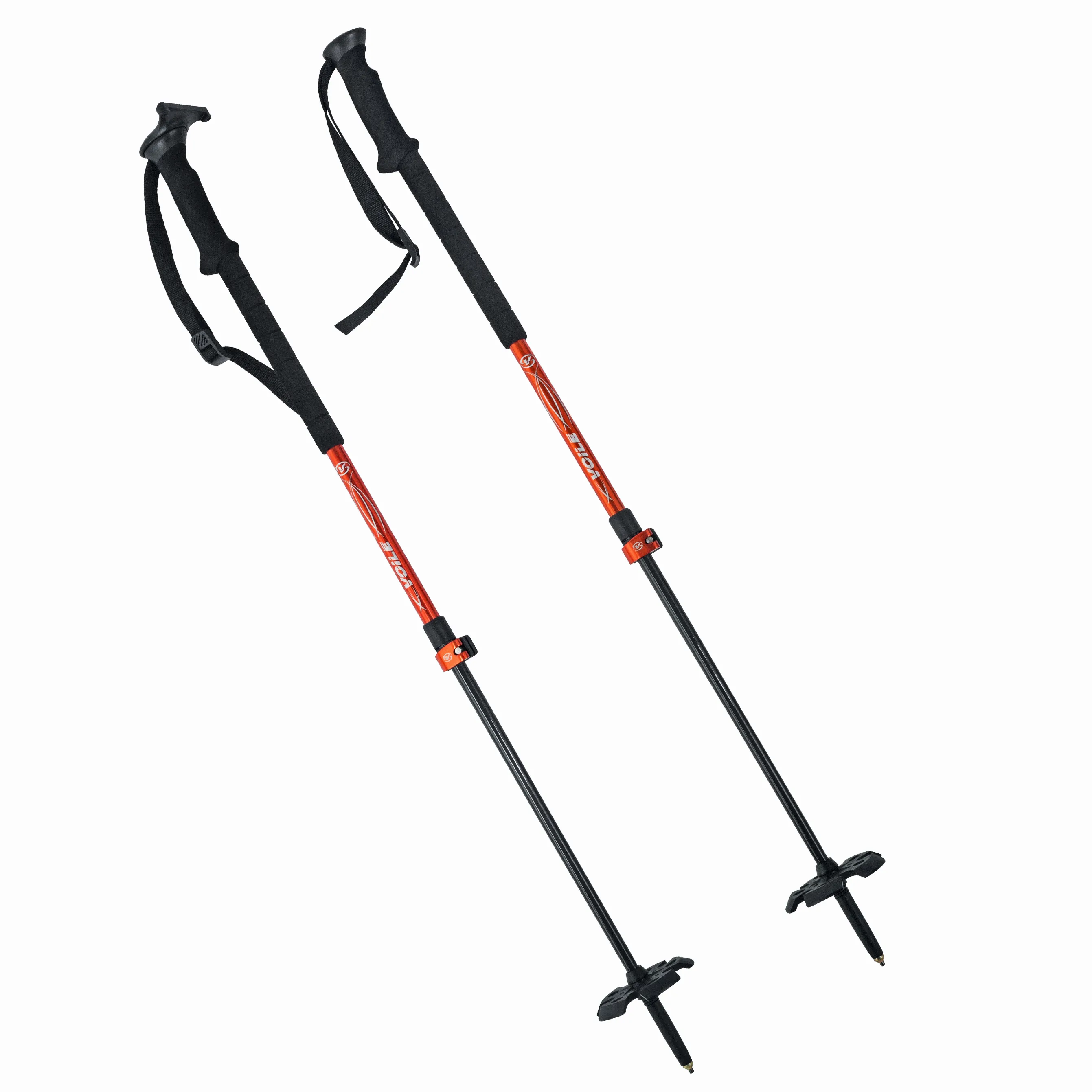 Ski Poles (only)