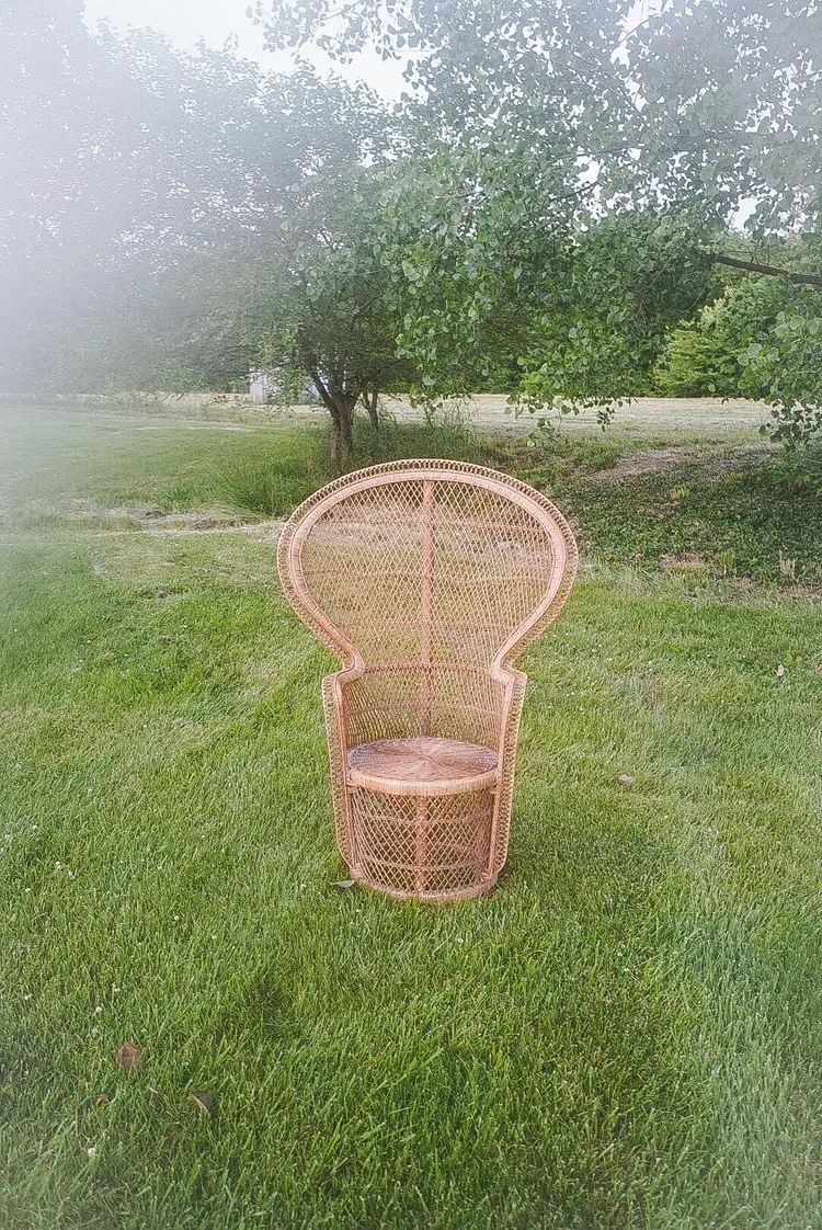 The Amelia: Wicker Peacock Chair