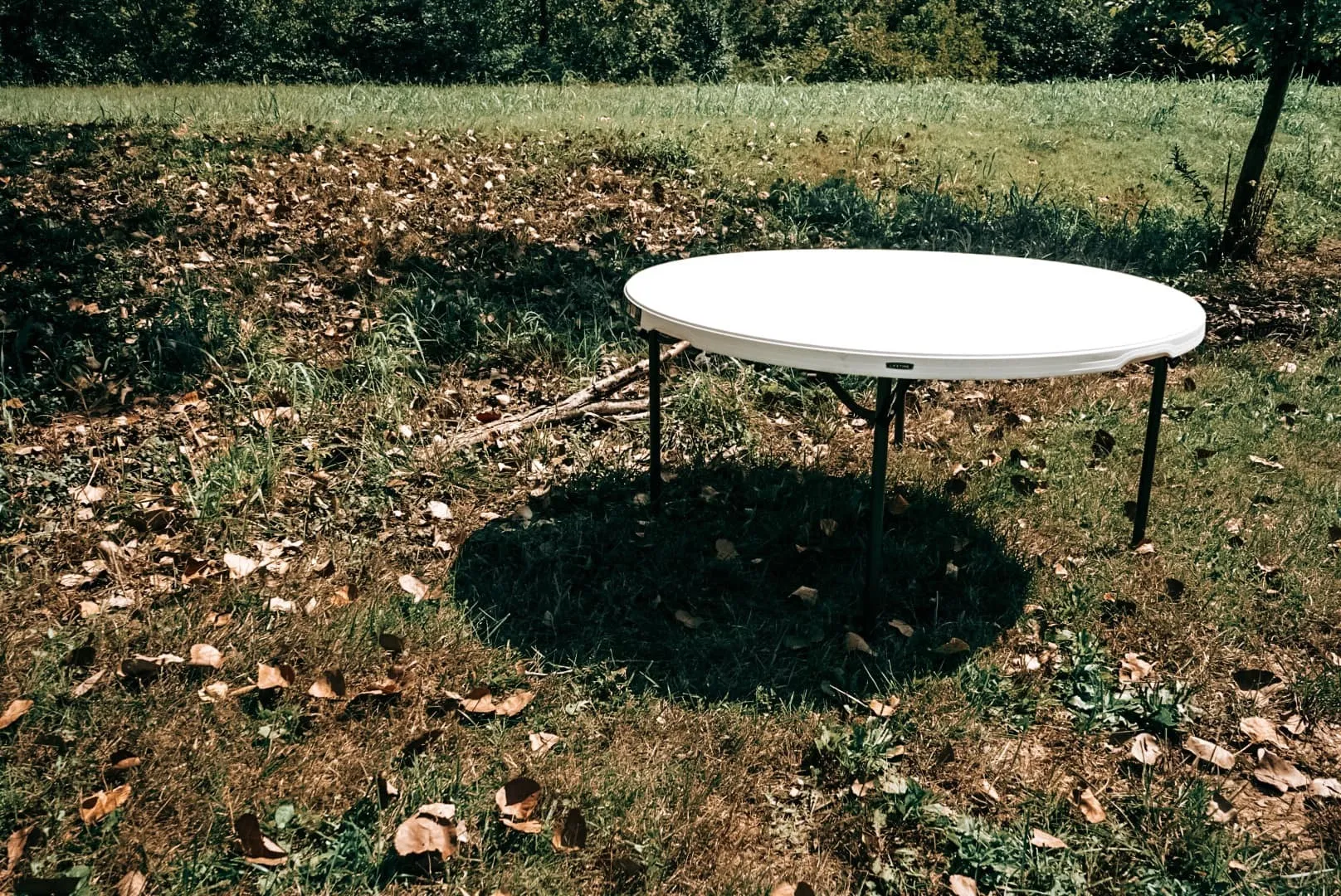 The Lynn: 60" Foldable Table