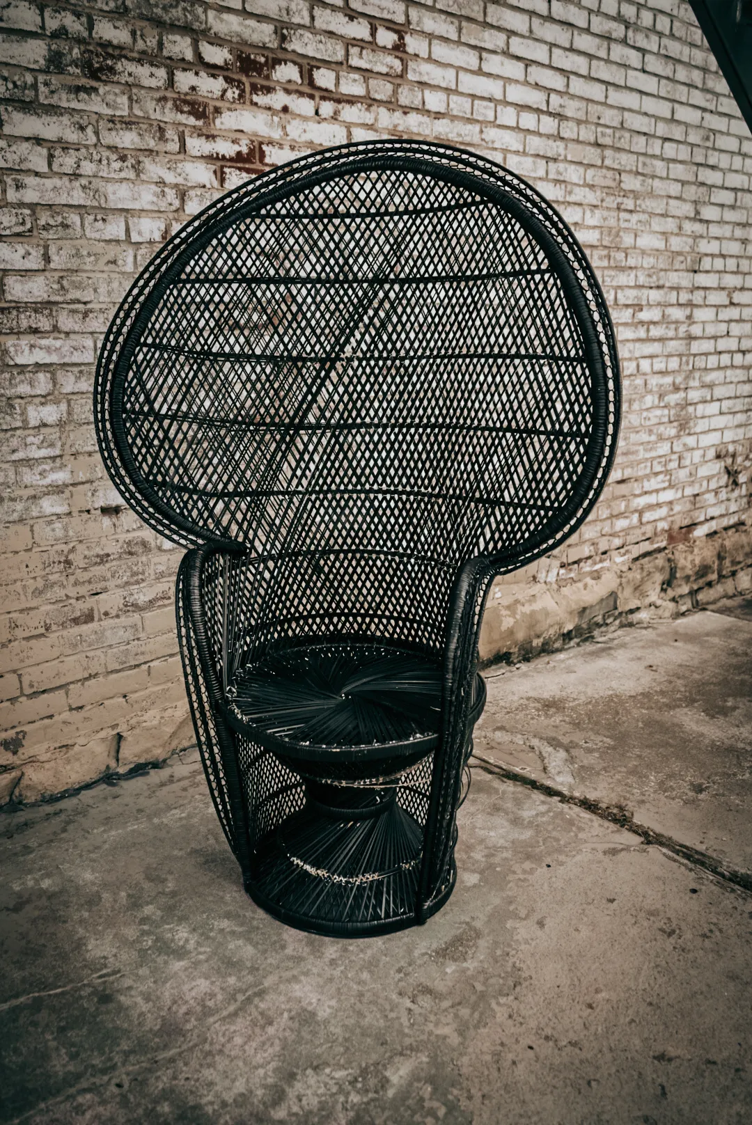 The Penelope: Black Wicker Peacock Chair