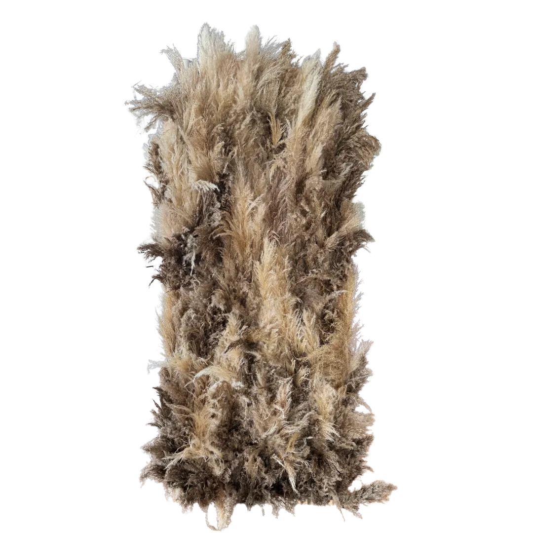 The Jordan: Pampas Grass Arch Backdrop