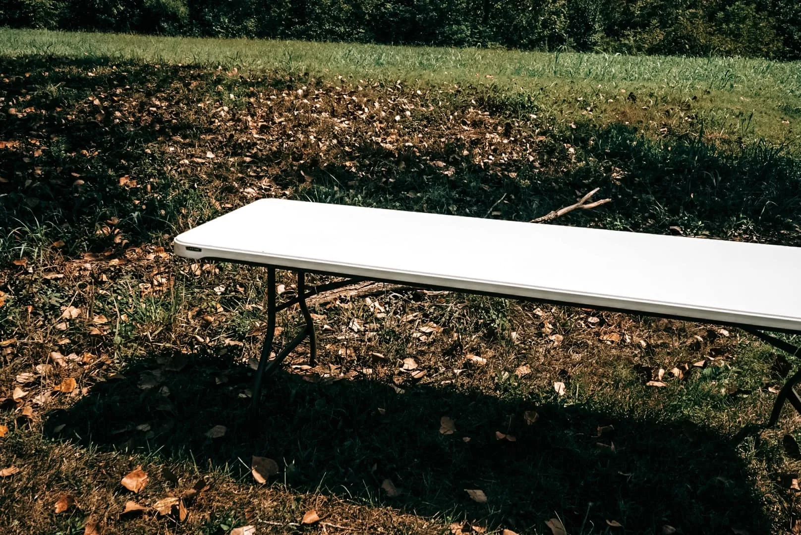 The Lynn: 8' Foldable Table