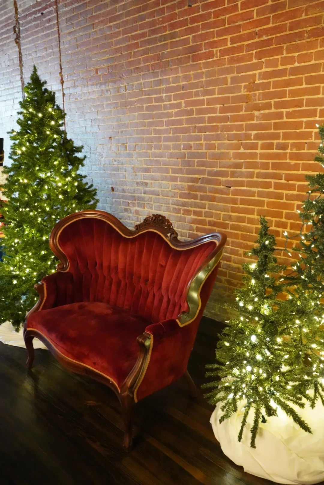 The Sherwood Forest: Christmas Tree Assortment