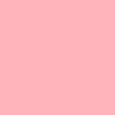 Meter: Rosco #153 - Pale Salmon