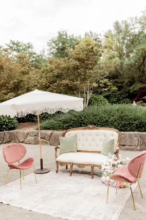 Velvet Pink Chair
