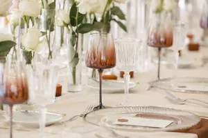 Brown Ombre Wine Glass