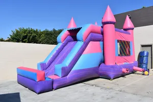 Pink Palace Dry Slide 15' x 28'
