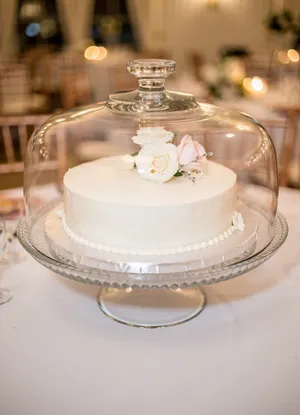 Clear Curated Crystal Cake Stand (11 in wide) Ribbed/decorative base