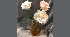 Amber Brown oval ribbed cylinder Blown Glass Vase (5 in tall)