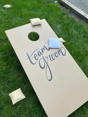 (Set of 1) Cornhole Boards game