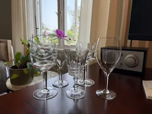 White Wine Glasses (8-12 oz)