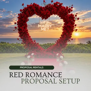 Red Romance Proposal Setup