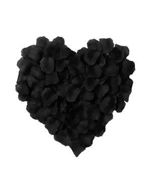 Black Heart Ring Bearer Pillow