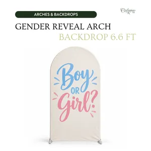 6.6 ft Pink & Blue Gender Reveal Arch Backdrop with Stand