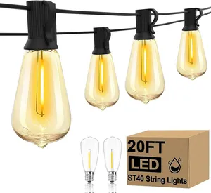 Bistro lighting (20ft)
