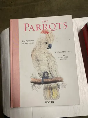 The Parrots