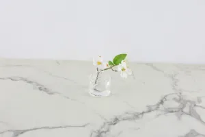 Faux Plant No. 67