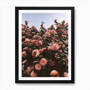 No. 279 Artwork - L - 30x40