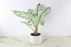 Faux Plant No. 76