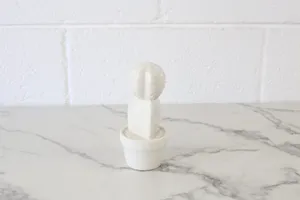 Mini Ceramic Cactus