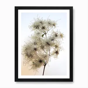 No. 16 Artwork - L - 30X42