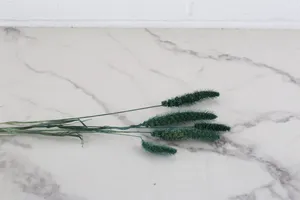 Dried Stem No. 5