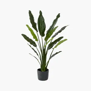 AMANDA Faux Plant No. 77