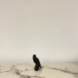 Black Stone Raven