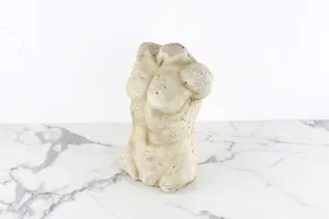 Vintage Male Stone Torso