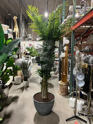 AMANDA Faux Plant No. 93