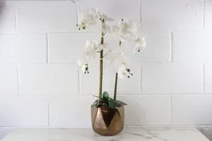 Faux Plant No. 47