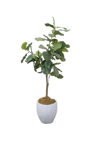 AMANDA Faux Plant No. 72