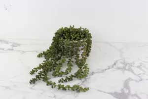 Faux Plant No. 57