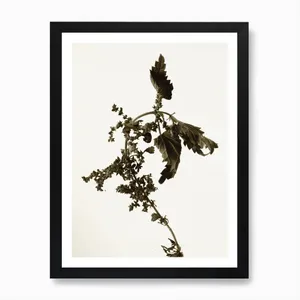 No. 22 Artwork