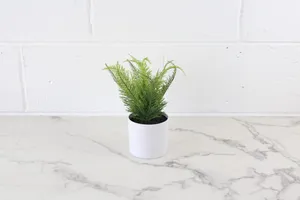 Faux Plant No. 25