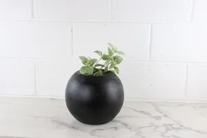 Faux Stems No. 12