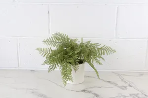 Faux Plant No. 27