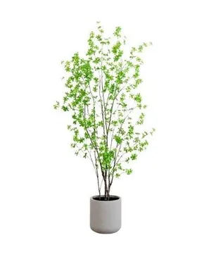 AMANDA Faux Plant No. 81