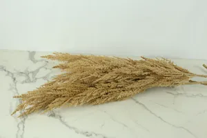 Faux Plant No. 50