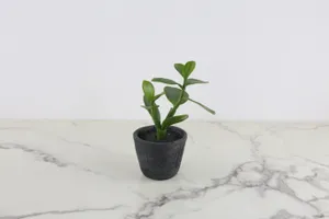 Faux Plant No. 71