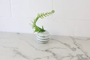Vase No. 5