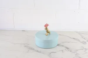 Metal Parrot Box