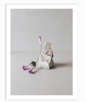 No. 246 Artwork