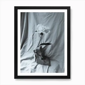 No. 271 Artwork - L - 30x40