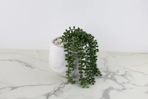 Faux Plant No. 68