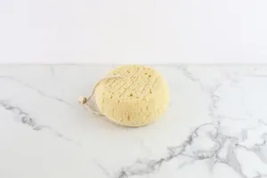 Round Sponge