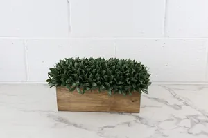 Faux Plant No. 37