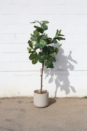 AMANDA Faux Plant No. 55