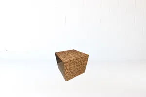 AMANDA Burls Just Wanna Have Fun Coffee Table